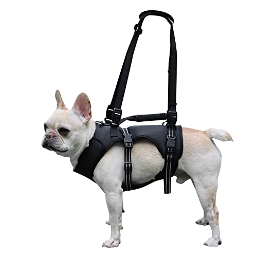 Top 10 Dog Harnesses for Arthritis Say Goodbye to Pain and