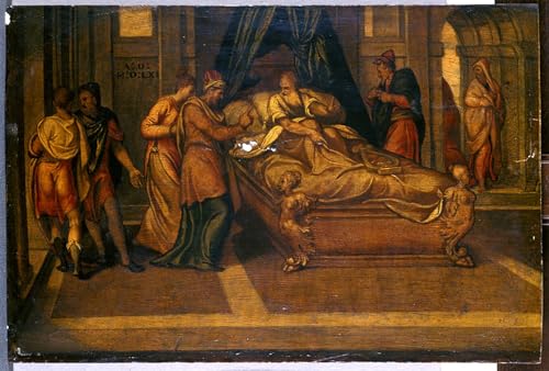Carteles historicos de David de Andrea Schiavone para decorar una biblioteca
