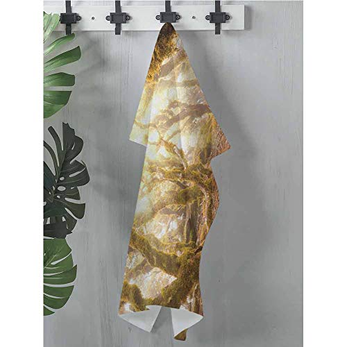 dsdsgog Personalized Hand Towels Rainforest,Morning Sun Rays Mist in Virgin Mountain Forest Moss