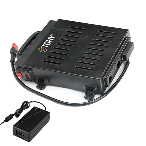 TGHY Baterías extraíbles de Iones de Litio para sillas de Ruedas eléctricas de 24 V, 10 Ah, 12 Ah, 20 Ah, 25,6 Ah, 28 Ah, con Cargador de 29,4 V para Motores de 0 a 700 W.,24v25.6ah