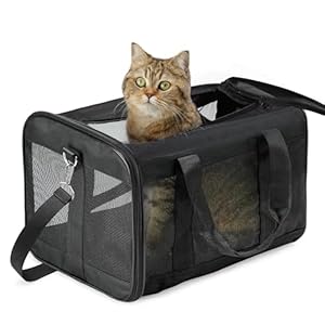 Katzenboxe Flugzeugtauglich, Weichseitige Hundetransportbox mit Innenleine, Transport für kleine bis mittelgroße Katzen und Welpen bis 7 kg, Zusammenklappbare Reisetasche -Schwarz,M