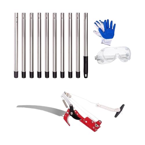 Fruusv ����p��?�|�[���\�[,�y�ʐL�k�� | �L�k�����}�؂��� - �ʎ����A�ԁA�u�h�E���A��^�_�n�A�K�[�f�j���O�A�����A�ыƗp���苘