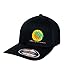 Classic Palm Hat Classic Flexfit Premium Hat 6277 Black