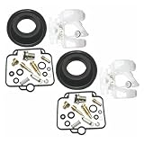Typ: Vergaser. Modellname: for GS500 GS 500 GS500E 1990-2000.