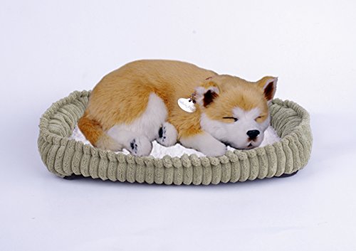 Preisvergleich Produktbild Perfect Petzzz Hundewelpe Shiba, der richtig atmet The Breathing Puppy