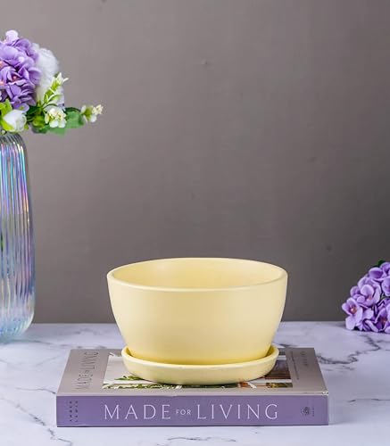 Image of Nurturing Green Ivory White Ceramic Pot for Plants | Big Decorative Plant Pots for Home Decor (Size: 7.25Inch Wide) - [Plants are not Included]