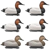 Final Approach Live Foam-Filled Canvasbacks, Decoy 6 Pack