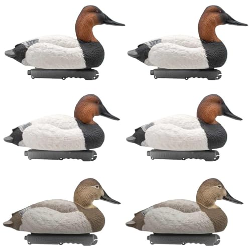 Final Approach Live Foam-Filled Canvasbacks, Decoy 6 Pack