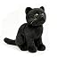Black Cat 11