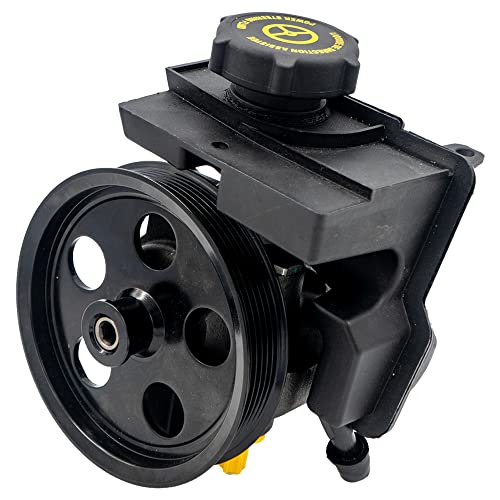 Dynamic Power Steering 48206 NEW Power Steering Pump with Reservoir - for 2011-06 Ford Focus, 11-10 Ford Transit Connect
