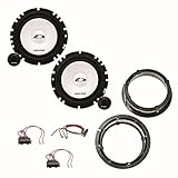 VW Passat 3B/3BG: vordere Türen