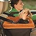 Kurgo Dog Booster Seat for Cars - Minimizes Distracted Driving - Durable Dog Travel Seat - Waterproof Exterior - Car Seat with Harness Strap - Portable Pet Booster Seat - Black & Orange