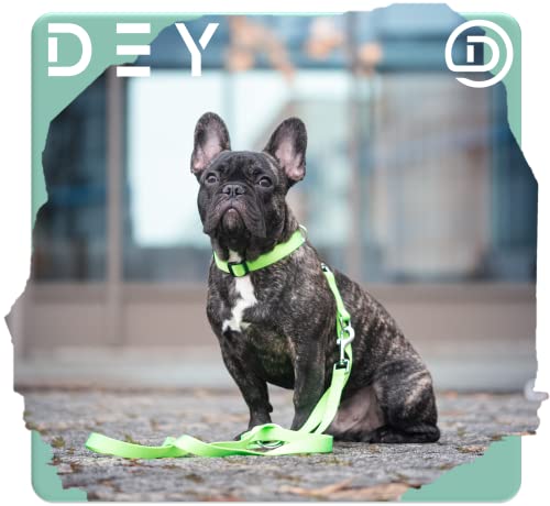 DEY - Premium Hundeleine Nylon 2m | 3fach Verstellbar | für Kleine, Mittelgroße u. Große Hunde | viele Farben |Doppelleine Hund Katze Welpe | Schleppleine |Führ-Leine | Welpenleine | Schwarz, S