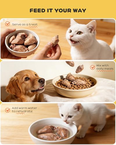 Image of Freeze Dried Chicken Hearts for Cats & Dogs, 17.64 oz (1.1LB), Raw High Protein Cat & Dog Treats, Single Ingredient Organ Meat,Grain Free Healthy Pet Snacks,Training Treats & Food Topper,No Additives