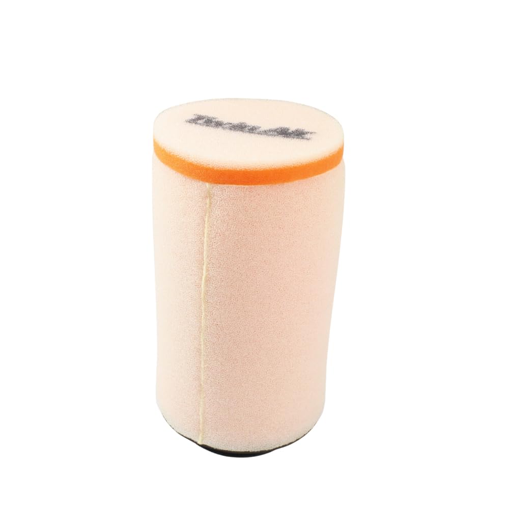 TWIN AIR Filtro aria - 156140 Polaris