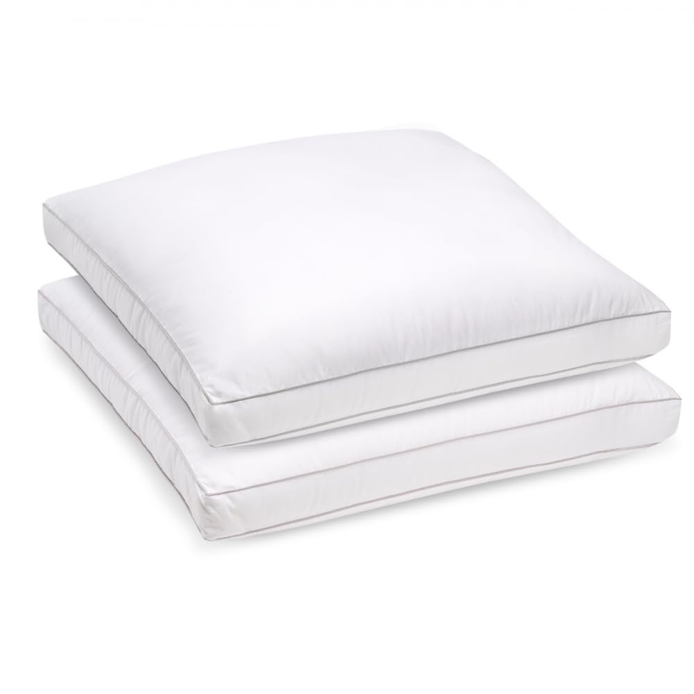 Bleu Calin Lot de 2 Oreillers Souple à Ferme 65x65cm Sensation Duvet