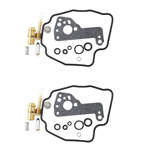Kit de réparation de carburateur XV535 pour résoudre les fuites d'essence et ratés moteur