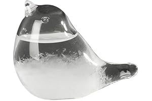 Hovico Storm Weather Forecaster: An Unconventional Approach to Meteorology