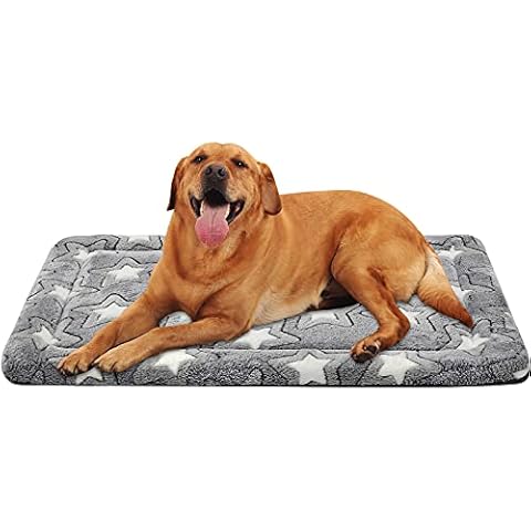 EMPSIGN Alfombra De Cama para Perro, Reversible, Lavable, Impermeable, Gris, XL Cover