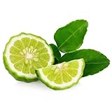 Evanuha