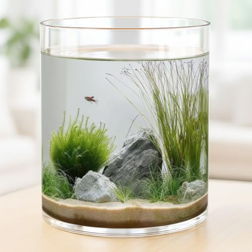 Maxdot 2.5 Gal Glass Fish Tank with Solid Base and 360° View