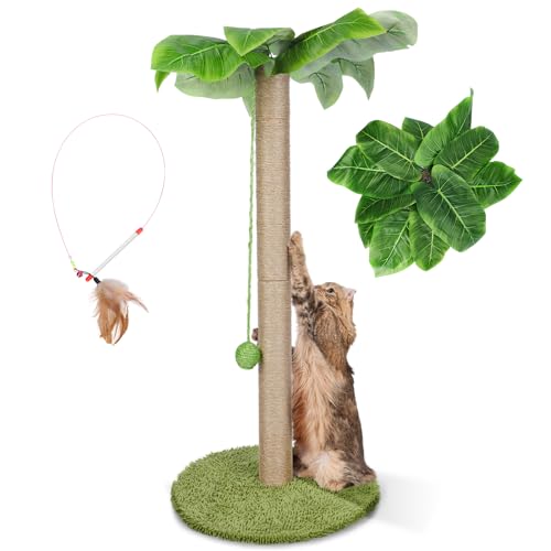 HEVOL Poste raspador para gatos, 85 cm de altura, corda de sisal natural, raspador de árvores para gatos com bolas pendentes, árvore trepadeira para gatos, entrega de penas para gatos, cor verde