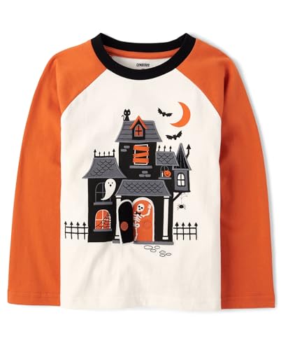 Gymboree,Boys,and Toddler Embroidered Graphic Long Sleeve Raglan T-Shirts,Haunted House,2 Years