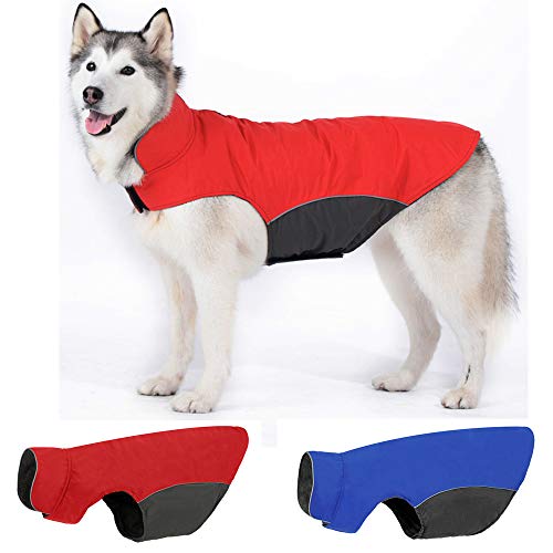 10 Best Winter Dog Walking Coat in 2024 (January update)