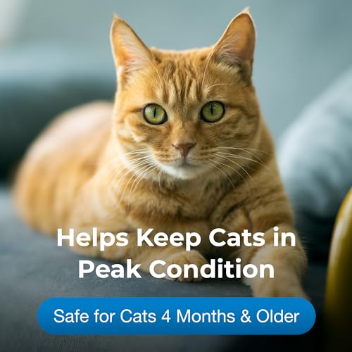 PetAg Vitamin & Mineral Gel Supplement for Cats - 3.5 oz - Provides Basic Daily Vitamins & Minerals for Cats 4 Months and Older - Easy to Digest - Image 3