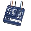 Somfy 1822649 - Micro-récepteur d'éclairage on/Off IZYMO | Technologie IO-homecontrol | Compatible app Tahoma