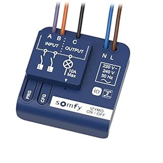 Somfy 1822649 - Micro-récepteur d'éclairage on/Off IZYMO | Technologie IO-homecontrol | Compatible app Tahoma