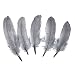 Goose Feather,Hgshow 100Pcs Beautiful Feathers 6-8 inches 15-20 cm, Choose Color Useful Charming