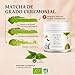 Imagen de Matcha & CO Té Matcha Original Grado Ceremonial