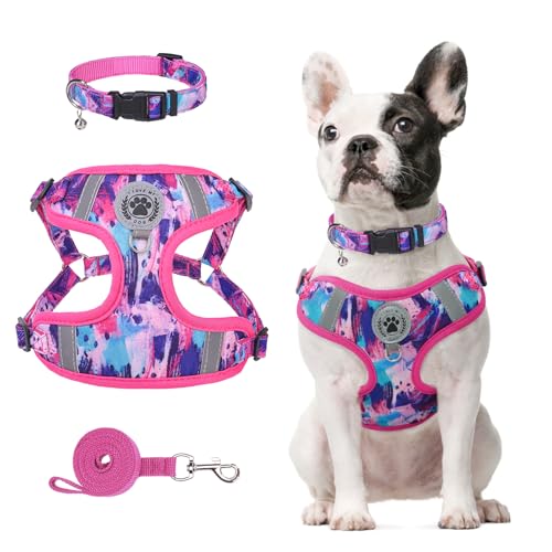 BEAUTYZOO Dog Harness Collar and Leash Set, No Pull Step in Pet H...