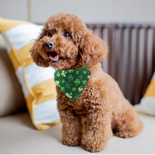 Disfraz para perro Día de San Patricio con pajarita y bandana miniatura 4