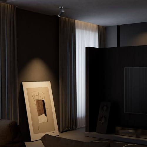 Image of 9W LED Dimmable Ceiling Spotlight Indoor - Adjustable Accent Surface Mount Spot Light for Corridor, Living Room, Plants & Artwork | Warm White 3000K CRI 97 Directional Fixture, Black Finish