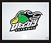 Decoy Outdoors FireQuacker Drake Mallard Duck Hunting Decal Sticker