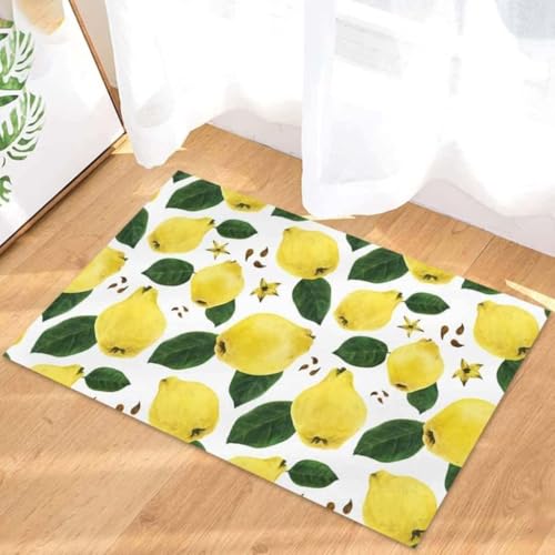 ���փ}�b�g ���̎� 50×80cm doormat Pear Fruit