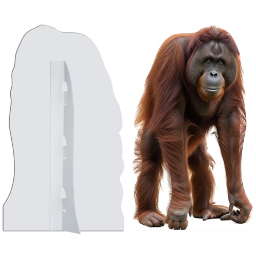 Image of Orangutan 1FT Life Size Cardboard Cutout, Fun Animal Standup | for Events, Party Decor, Birthday & Photo Backdrops, Jungle Theme, 1 PC