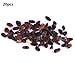 Ncient 20 Semillas de Buddleia Arbusto de Mariposas Butterfly Bush Semillas Flores...
