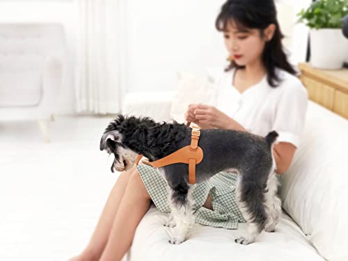 Pet Life ® ‘Ever-Craft’ Boutique Series Adjustable Designer Leather Dog Harness Pet Life ® ‘Ever-Craft’ Boutique Series Adjustable Designer Leather Dog Harness