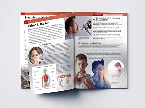 Image of Human Body - Lungs And Respiratory System: Knowledge Encyclopedia For Children