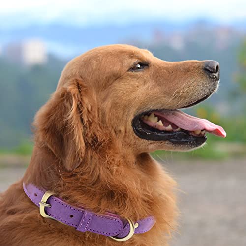 Soft Padded Leather Dog Collar, Breathable Tactical Waterproof Dog Collar Leather With Adjustable Durable Metal Buckle For Small And Medium Dogs, Purple, M #TOP5