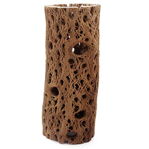 Image of 3 to 48 Inch All Natural Teddy Bear Cholla Wood Extra Hollow Large Untreated Organic Aquarium Driftwood Decoration Chew Toy Shrimp Crab Multi-Quantity