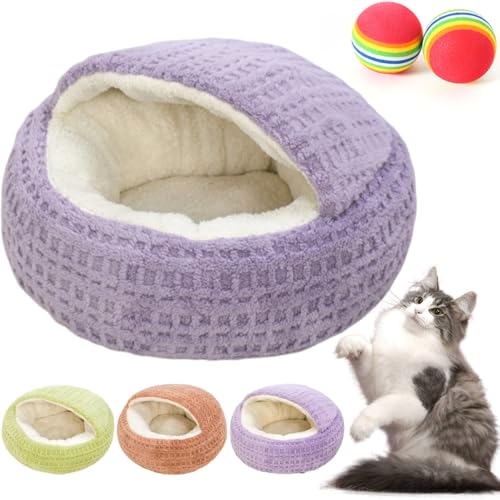 Lxbh ^ ybgnEX ~p h[^ Q LbgnEX Q NbV g  ӂӂ v ۉ h ~΍ 􂦂 ~ 薰 xe p Lp {[2t (L,p[v)