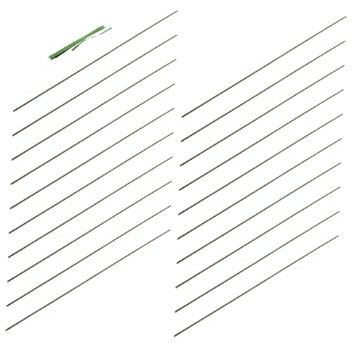 Toyvian 20pièces Tuteurs De Support pour Plantes Pot Tiges Simples Supports De Plantes Réutilisables pour Fleurs Et Jardin