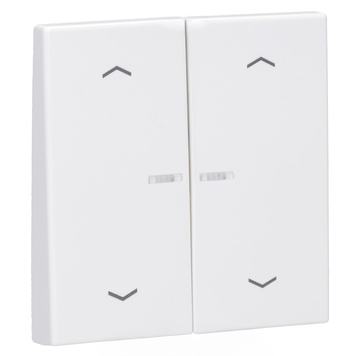 JUNG Wippe für Serientaster Lichtleiter Pfeile (Duroplast) Alpinweiß Serie LS