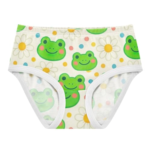 Joisal Designer Toddlers Underwear Floral 2t Cotton Panties Little Girl Cute Green Frog Daisies Beige Underpants Briefs