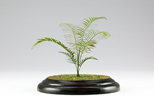 PLATZ PHK12-01 1/12 Scale Plant Kit Series No. 1 Areca Palm Etching Kit