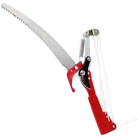 Extendable Pole Saw For Effortless Tree Trimming
